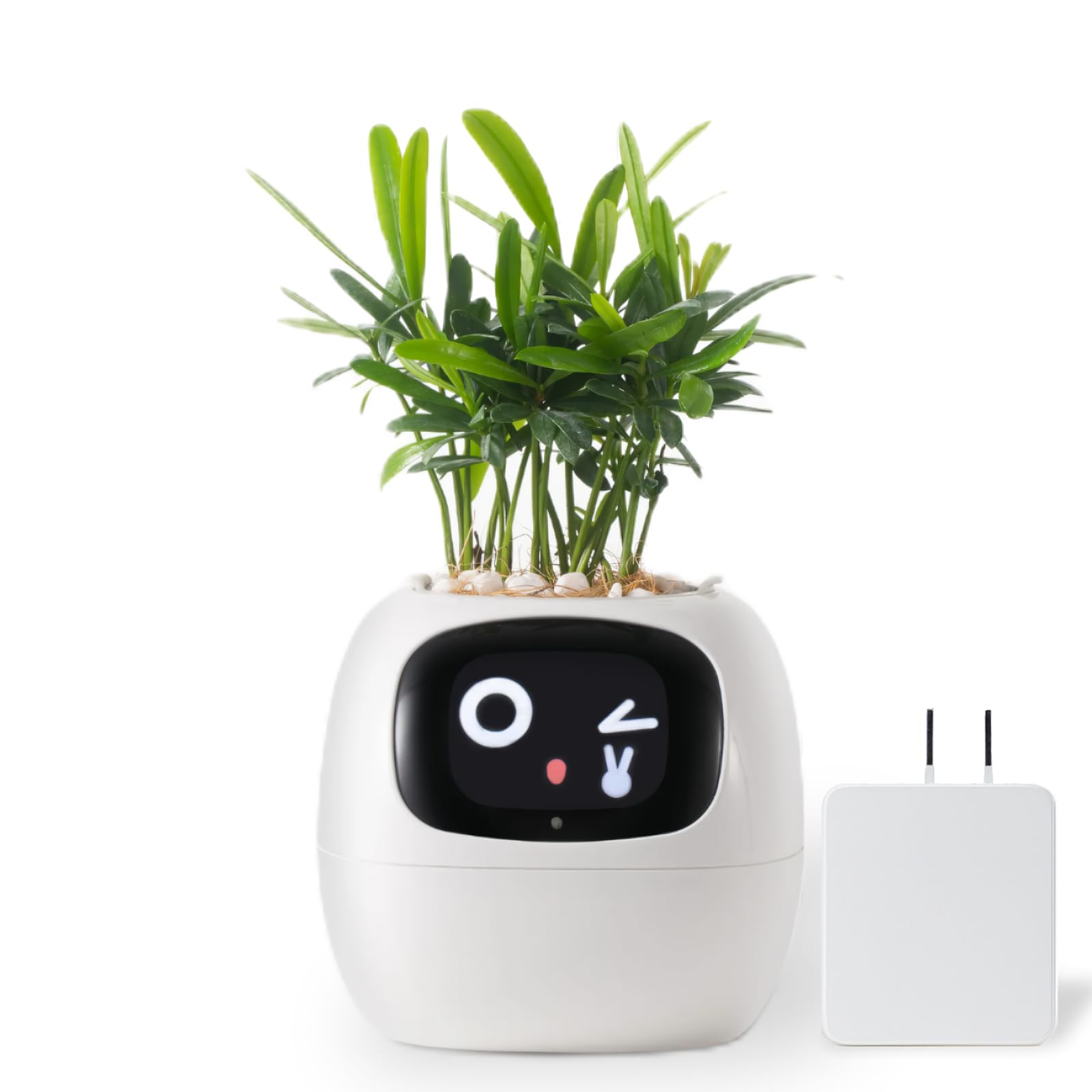 Ivy Smart Pet Planter(アイビー スマートプランター) Amazon.co.jp: 【国内販売正規品】 Ivyスマートプランター